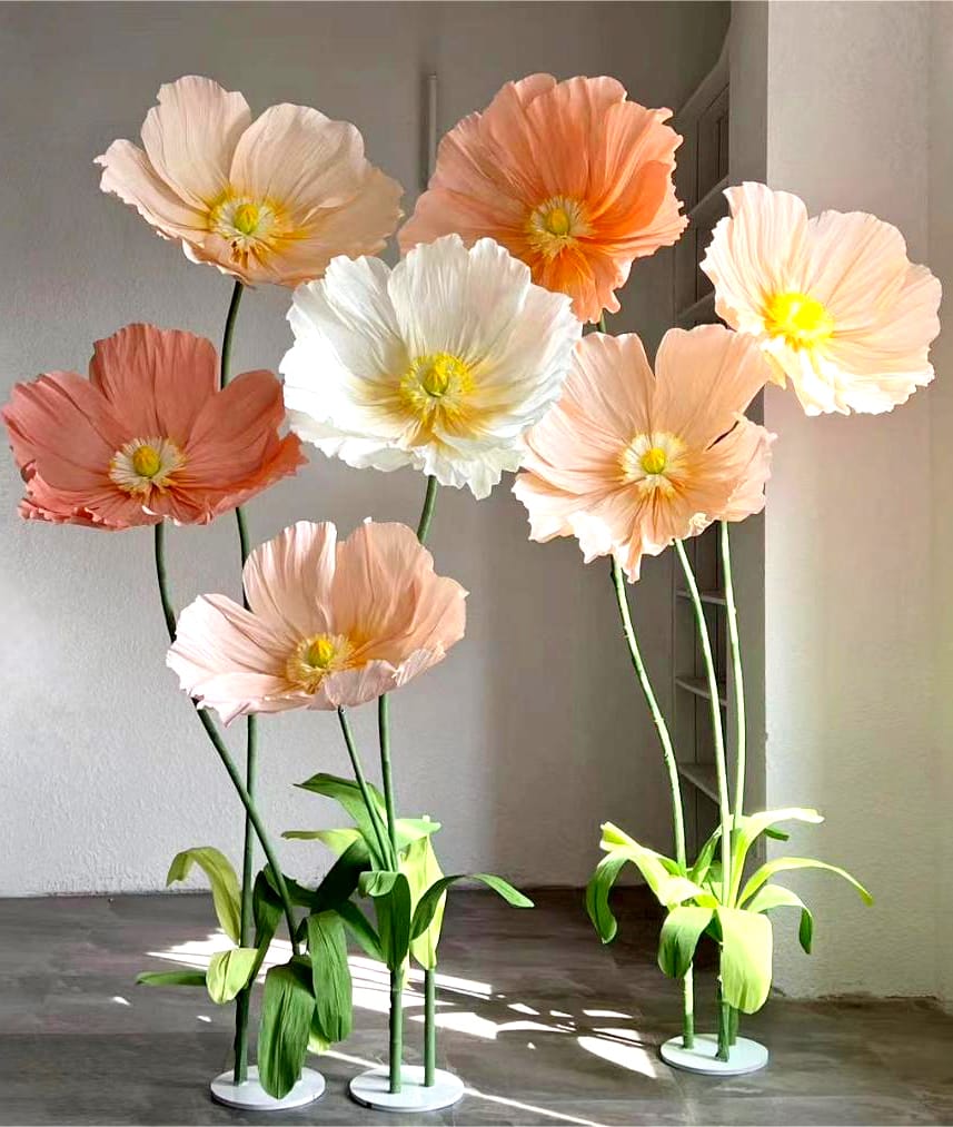Paper Poppy