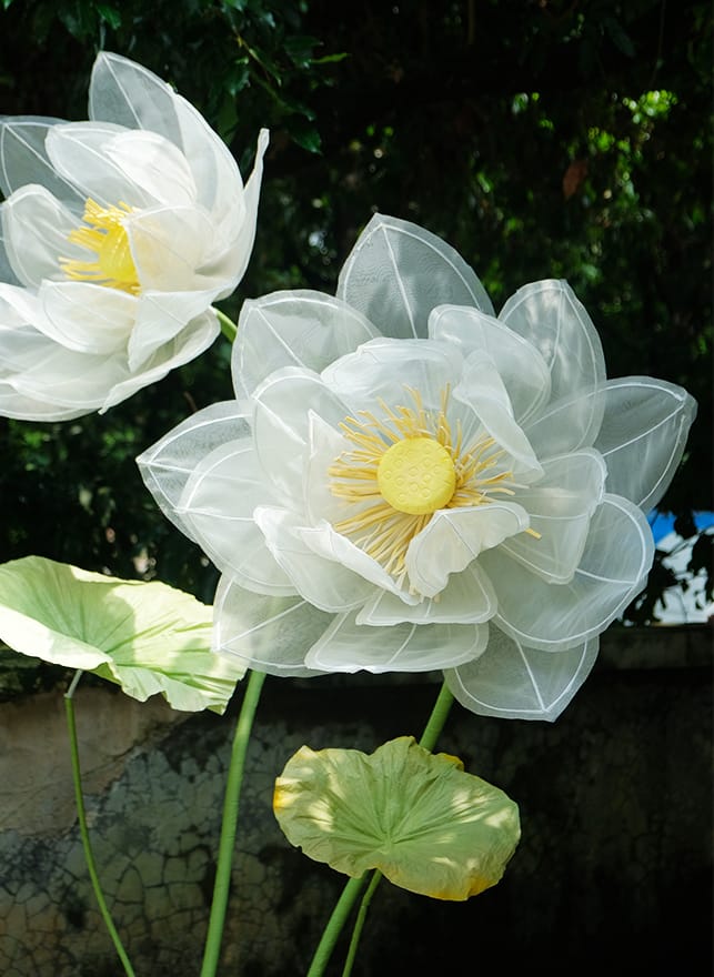 Lotus Paper Flower DIY Kit