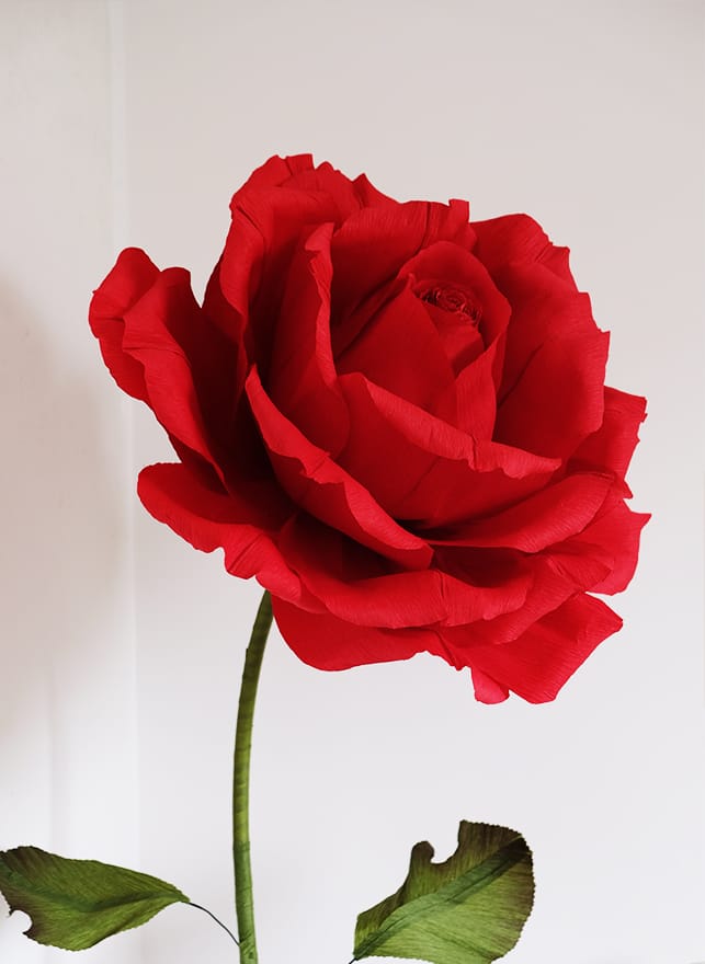 DIY Paper Rose Flower Kit