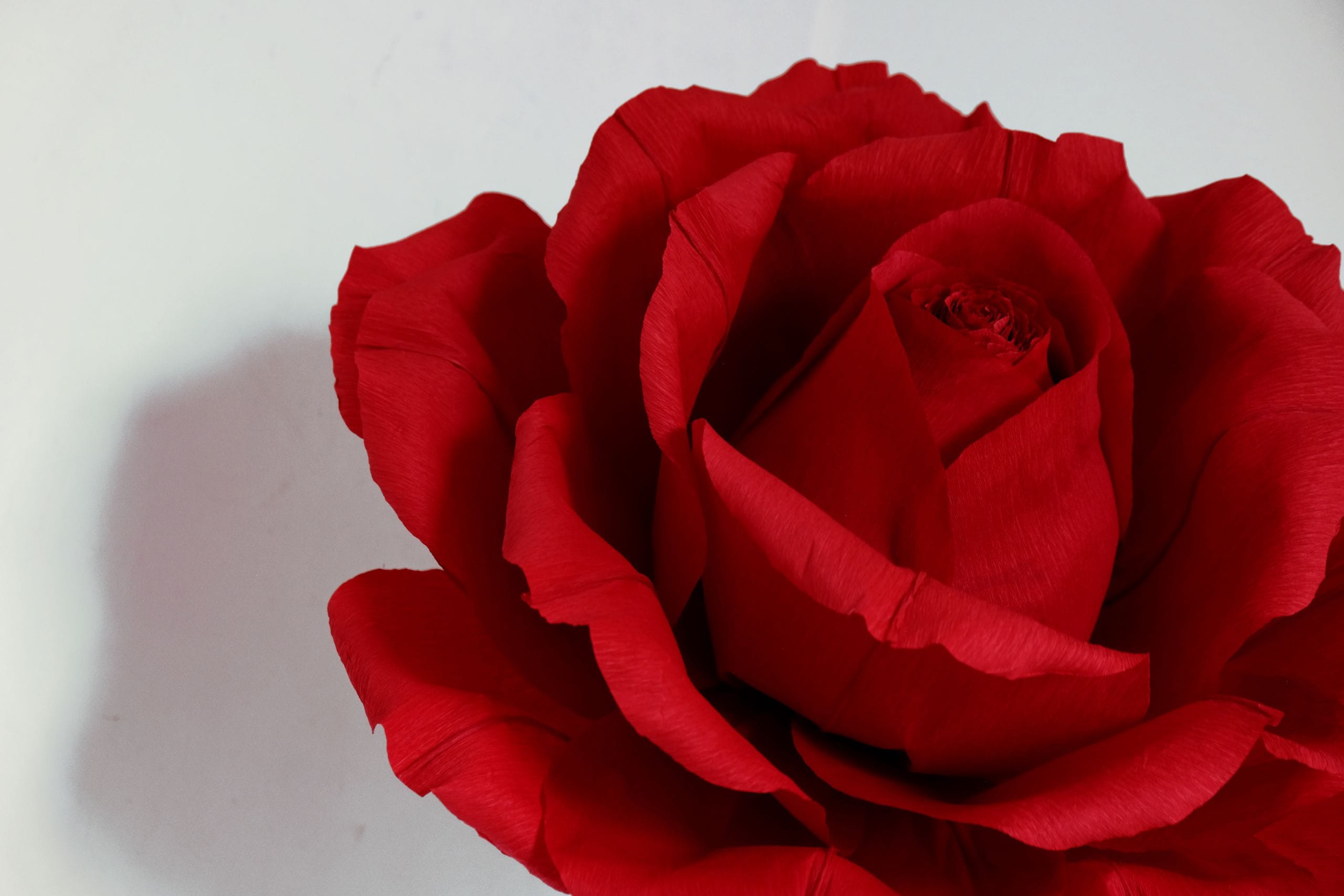 DIY Paper Rose Flower