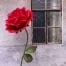 Red Crepe Paper Rose