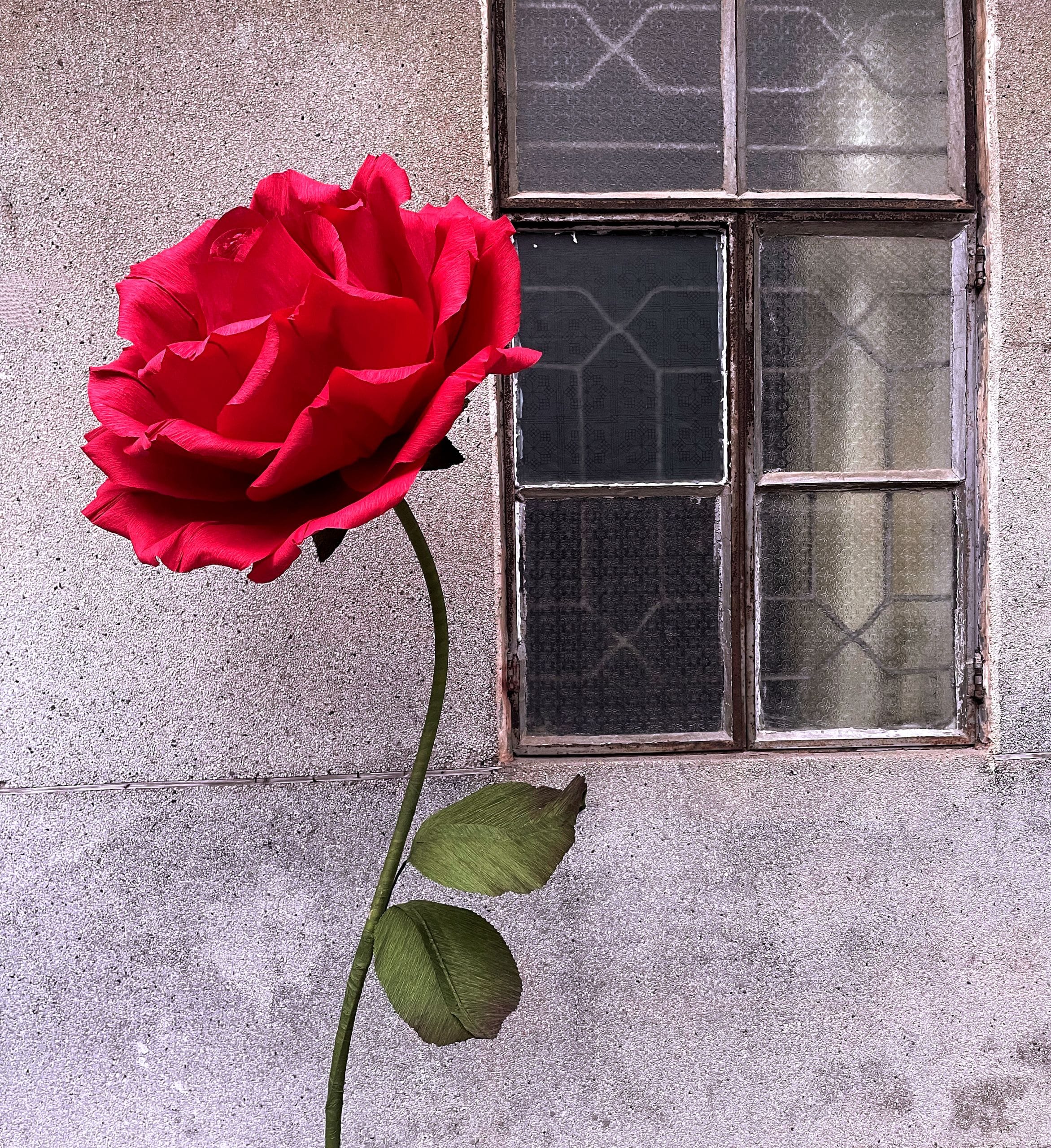 Red Crepe Paper Rose